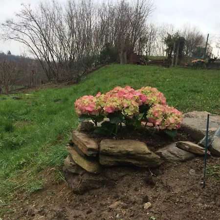 La Ca D' Guelfo * Barge